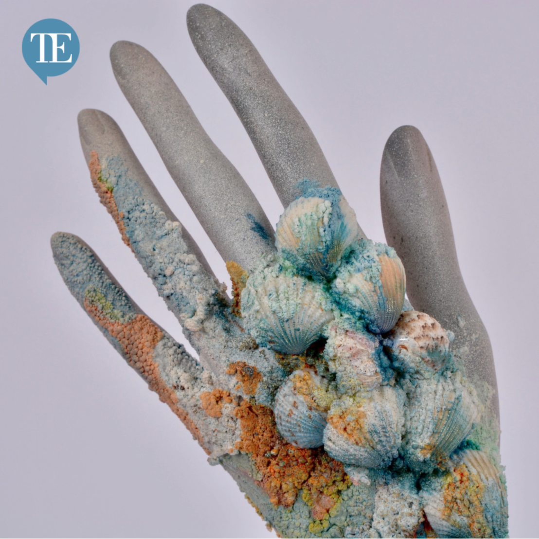 Heathfield's Pupil Editor: Sustainability 